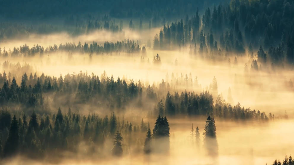 福彩形象專題片